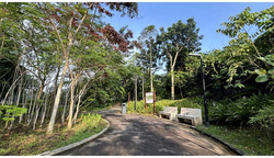 Blk 384 Bukit Batok West Avenue 5 (Bukit Batok), HDB 5 Rooms #595758451